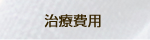 ふじさき治療院の治療費用