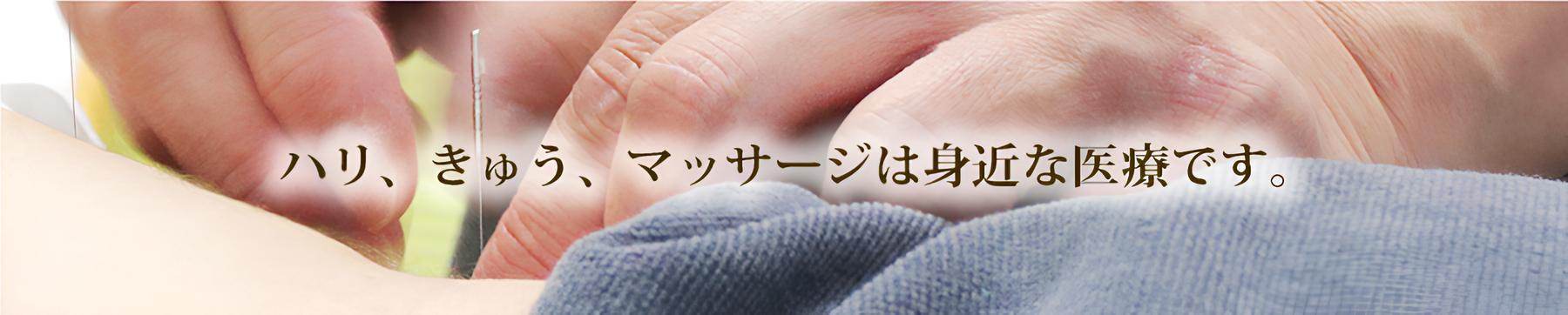 ハリ、きゅう、マッサージは身近な医療です 名古屋の針灸治療ならふじさき治療院にお任せください